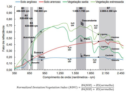Curvas espectrais de solo e vegetação