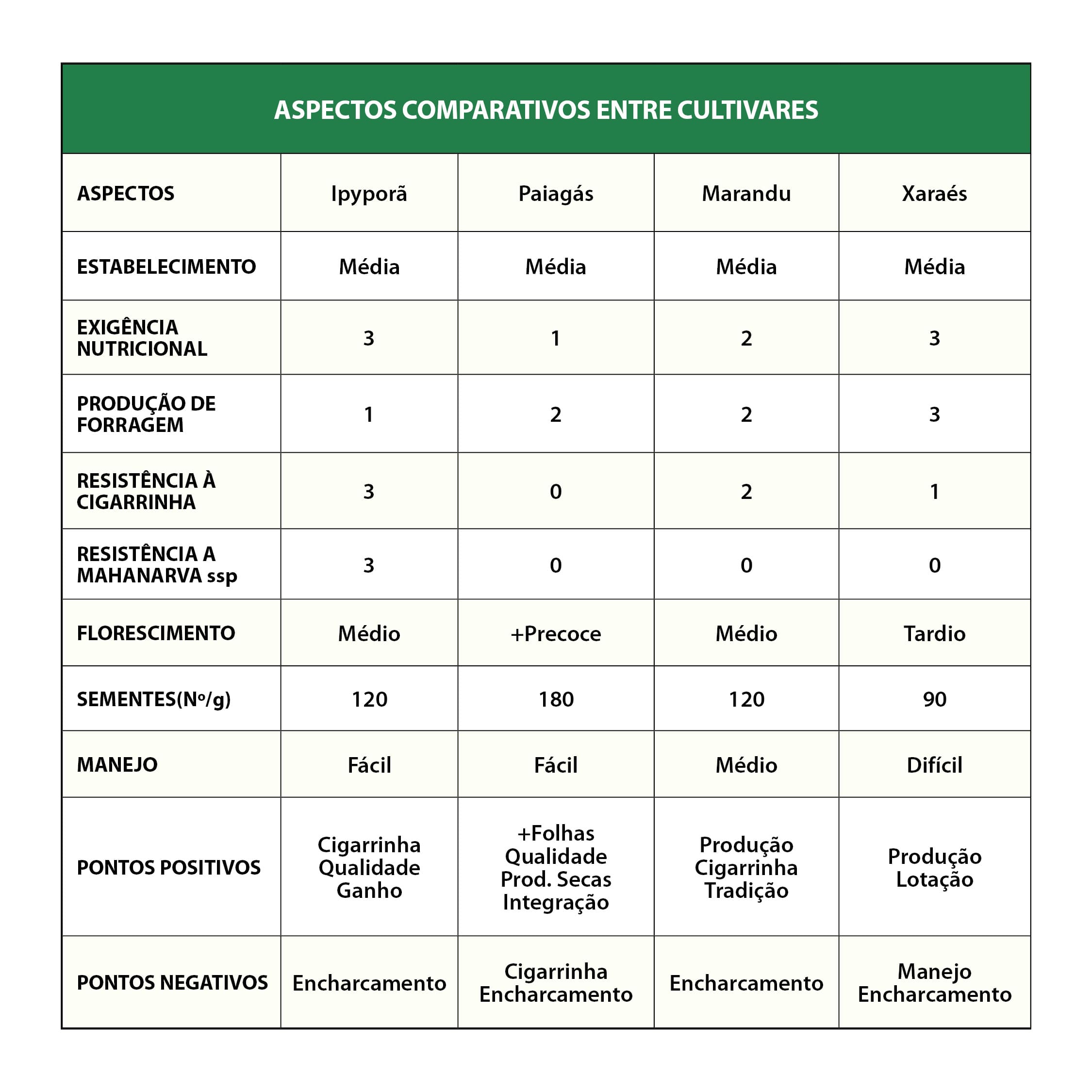 Comparativo entre as braquiárias