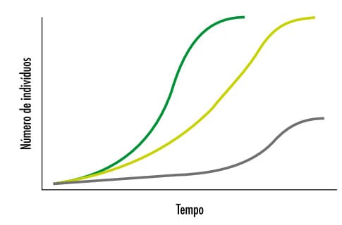Gráfico de crescimento populacional de pragas 