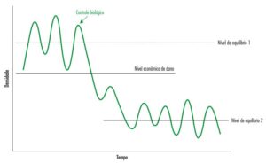 Modelo hipotético de curva populacional que mostra uma situação ideal em programas de controle biológico