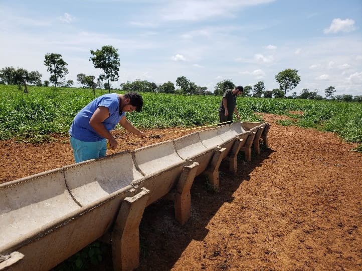 Inspeção de cochos