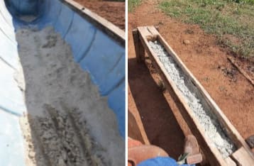 Inspeção de cochos