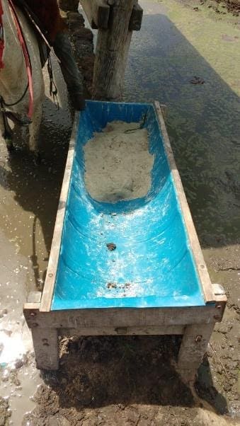 Cocho mal inspecionado