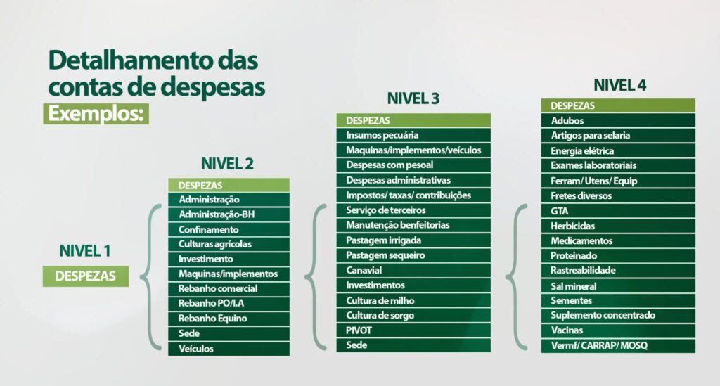 Detalhamento das despesas na pecuária de corte