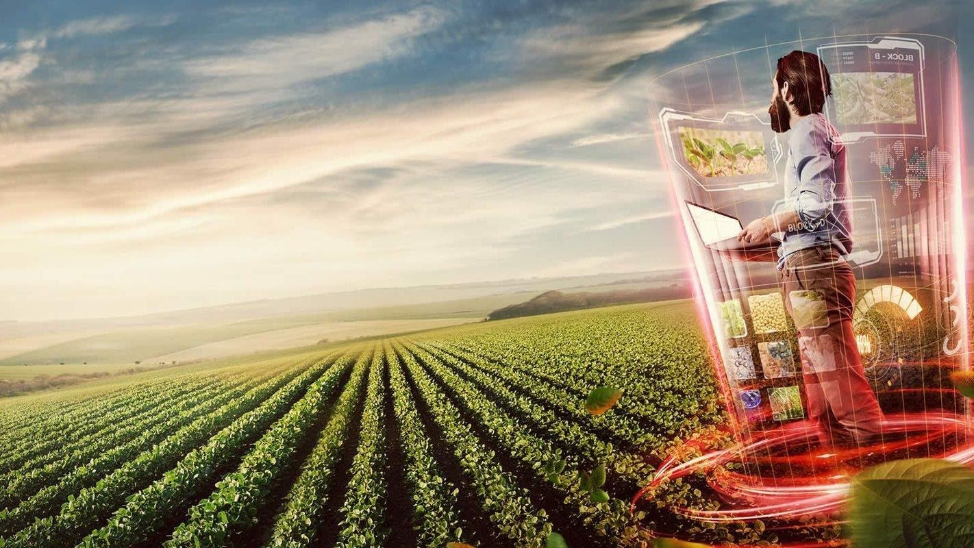 Inteligência artificial na agricultura