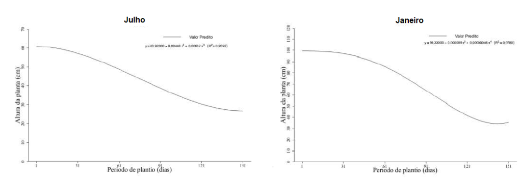 Gráfico mostrando diferença da altura das plantas de café 