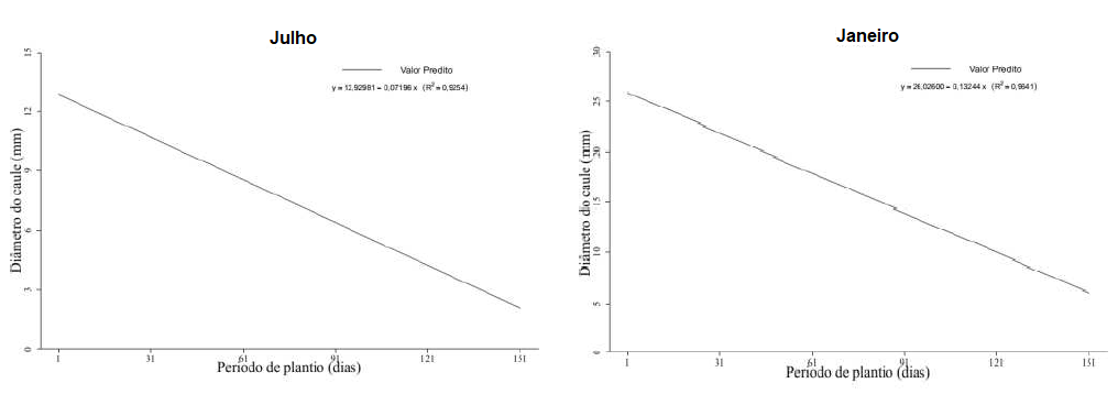 Gráfico mostrando diferença no diâmetro do caule dos pés de café