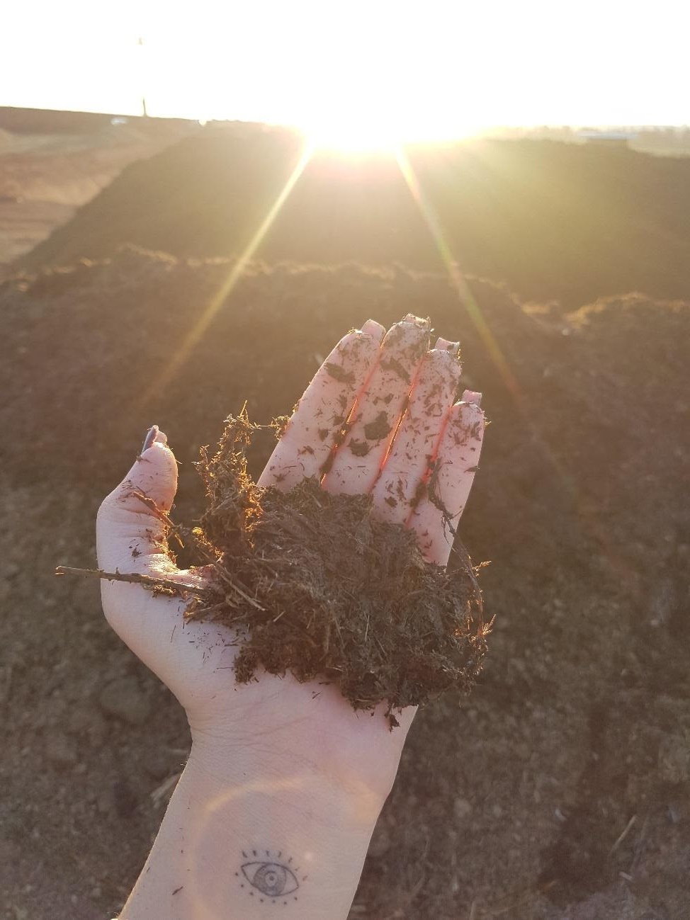 Mão segurando uma amostra de composto orgânico