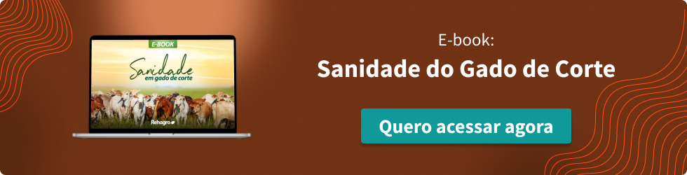 E-book Sanidade do gado de corte