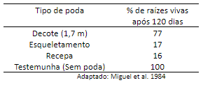 Porcentagem de raízes vivas de acordo com os tipos de poda em plantas de café.
