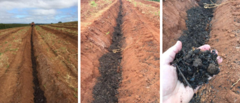 Aplicação de matéria orgânica no solo