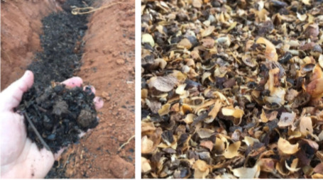 Matéria orgânica e casca de café