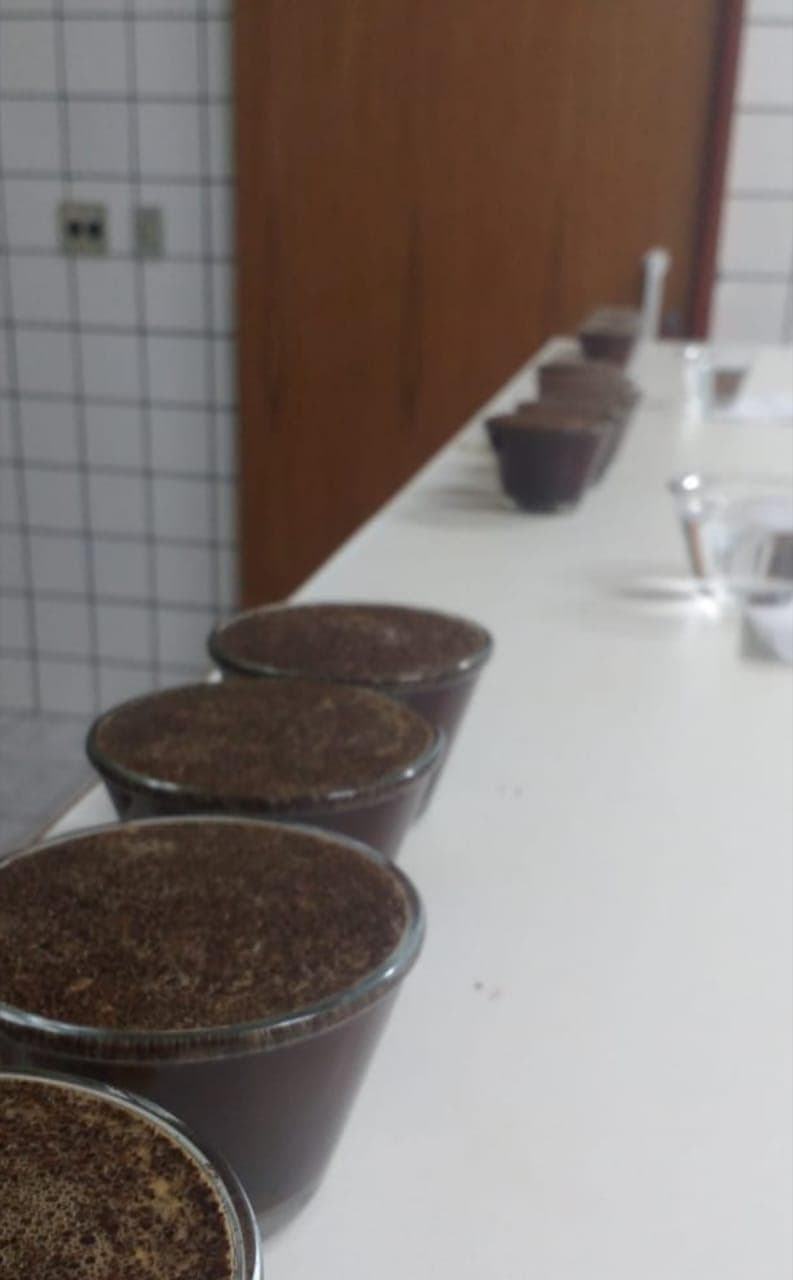 Café em análise sensorial