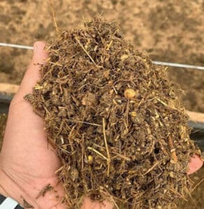 Realização de análise de matéria seca