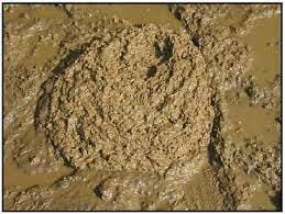 Escore 3 de fezes bovinas