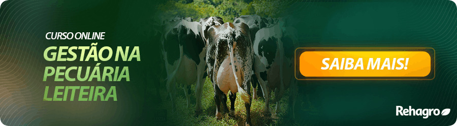 Curso Gestão na Pecuária Leiteira