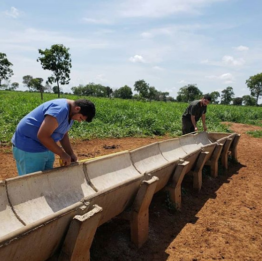 Cocho para suplementação de gado de corte sendo montado