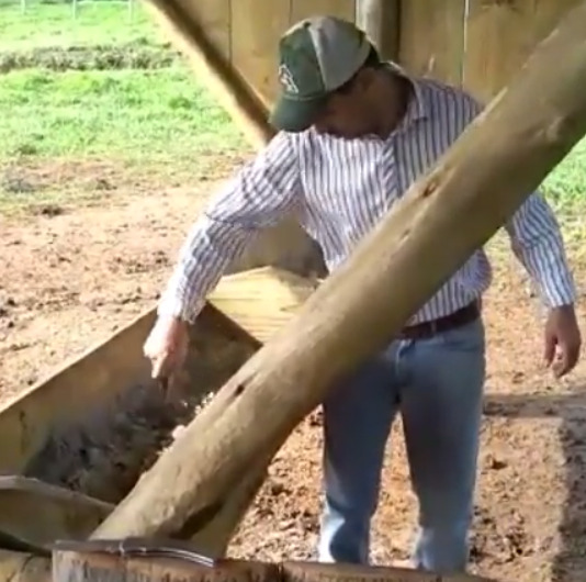 Cocho para gado de corte sendo mexido
