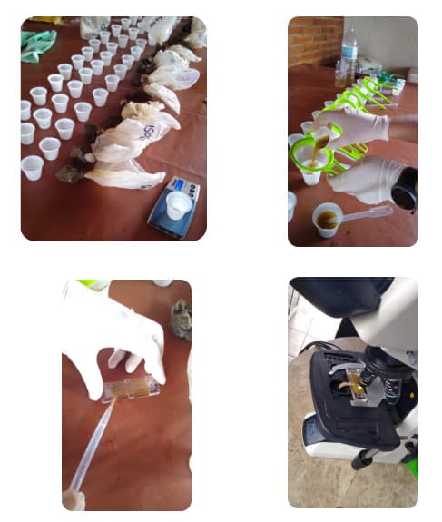 Técnica de exames de OPG e OOPG