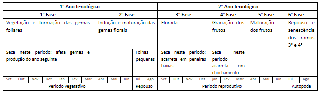 Tabela com as fases fenológicas do cafeeiro arábica.