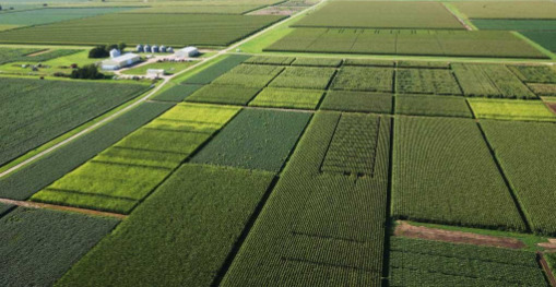 Rotação de culturas