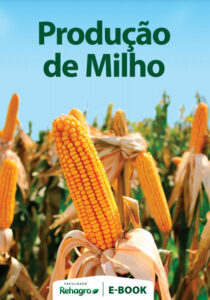 produção de milho