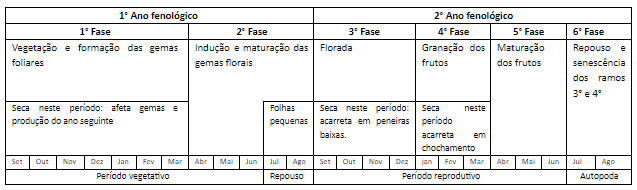 Fenologia do café