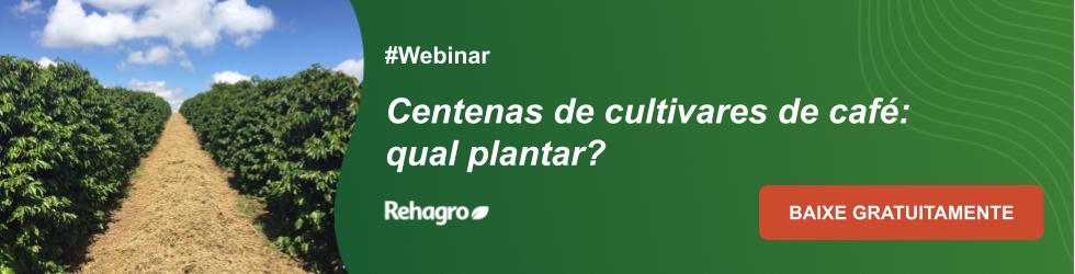 Webinar Cultivares de café