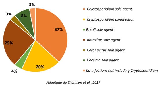 Principais patógenos causadores de diarreia em bezerros