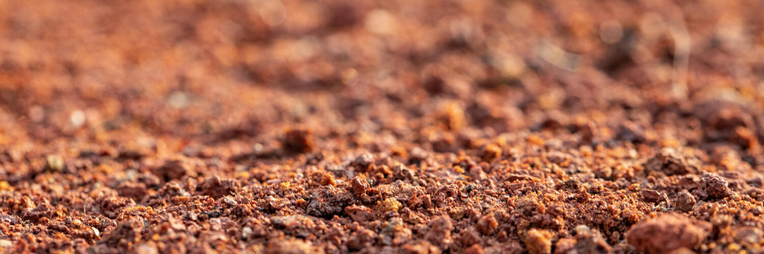 Interpretação de análise de solo