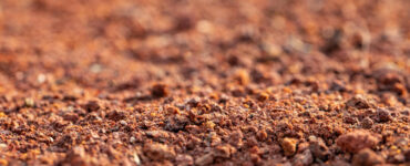 Interpretação de análise de solo