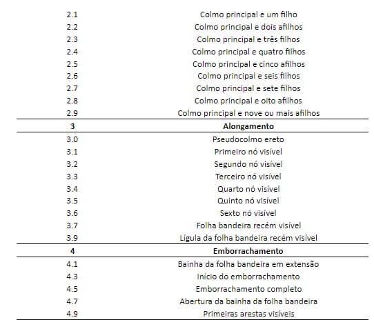 Tabela com estádios fenológicos do trigo