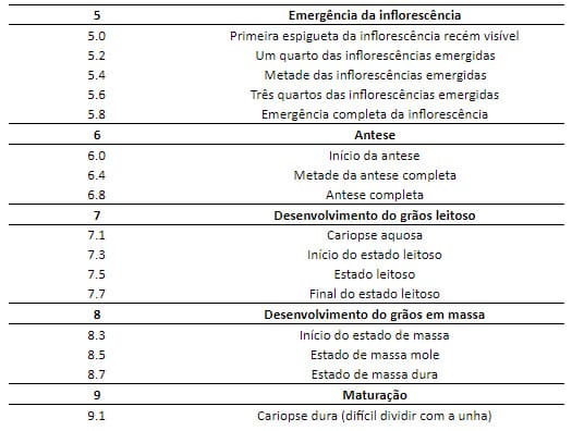 Tabela com estádios fenológicos do trigo