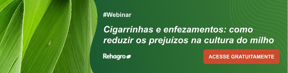 Webinar Cigarrinhas e Enfezamentos