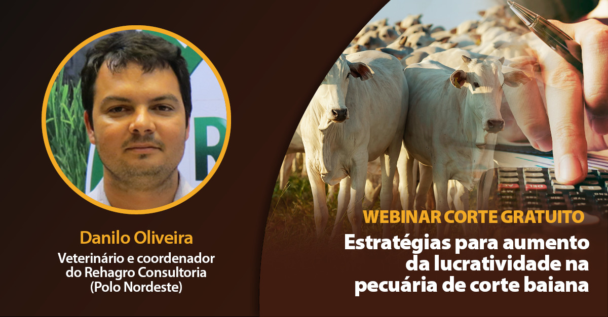 lucratividade na pecuária baiana