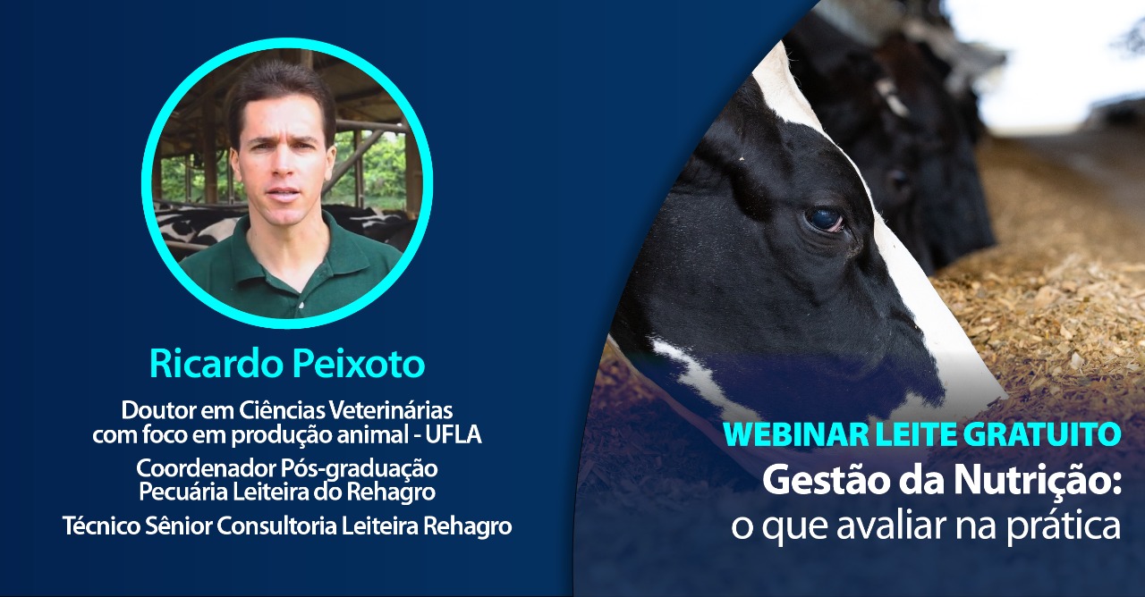 Gestão da nutrição