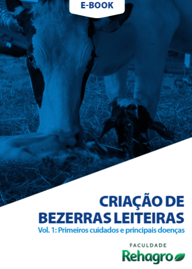 Criação de bezerras leiteiras