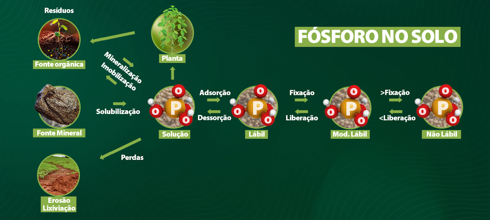 fósforo na produção de grãos