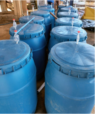 Fermentação do café sendo feita de maneira controlada em tanques fechados.