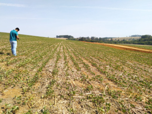 Ambiente físico do solo