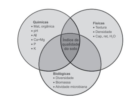 Indicadores de qualidade do solo