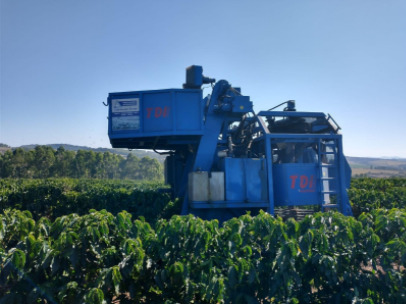 Máquina realizando a colheita do café.