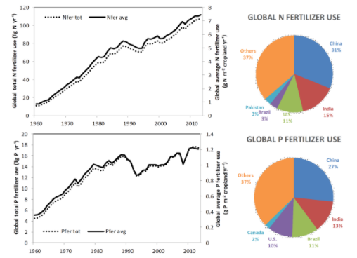 Gráfico com crescimento de uso do nitrogênio e fósforo ao longo das décadas.