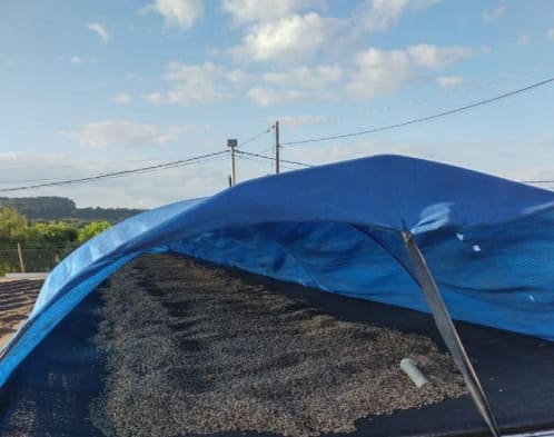 Terreiro suspenso com cobertura