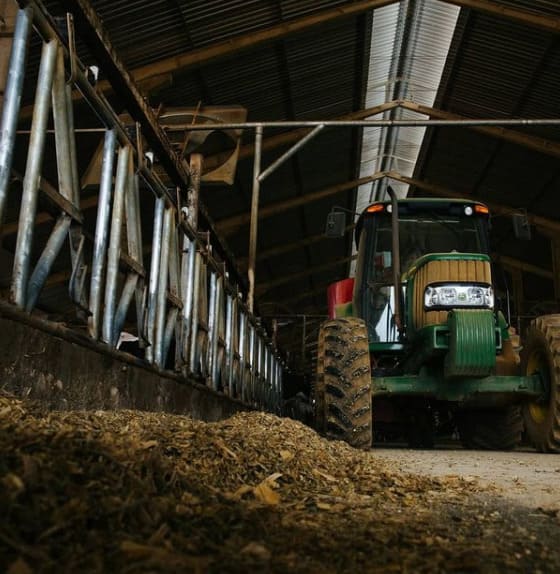 Distribuição da dieta aos animais Trator de alimentos