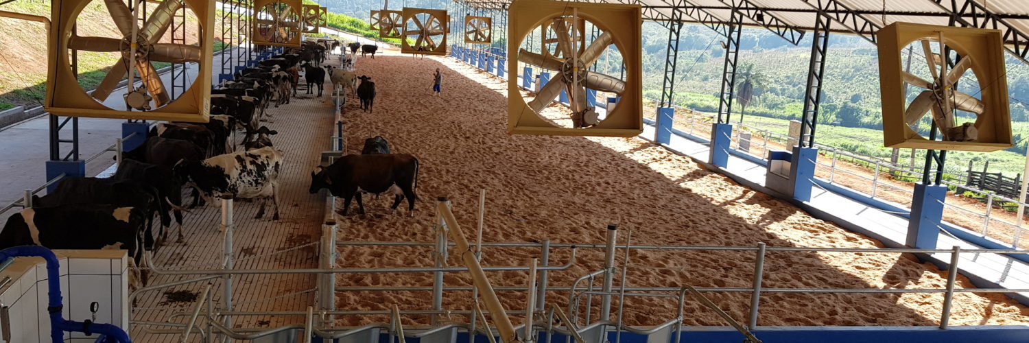 gestão da fazenda leiteira