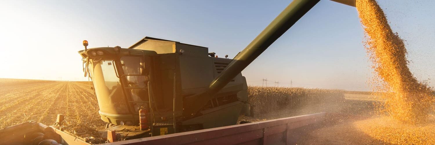 Produção agrícola