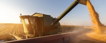 Produção agrícola