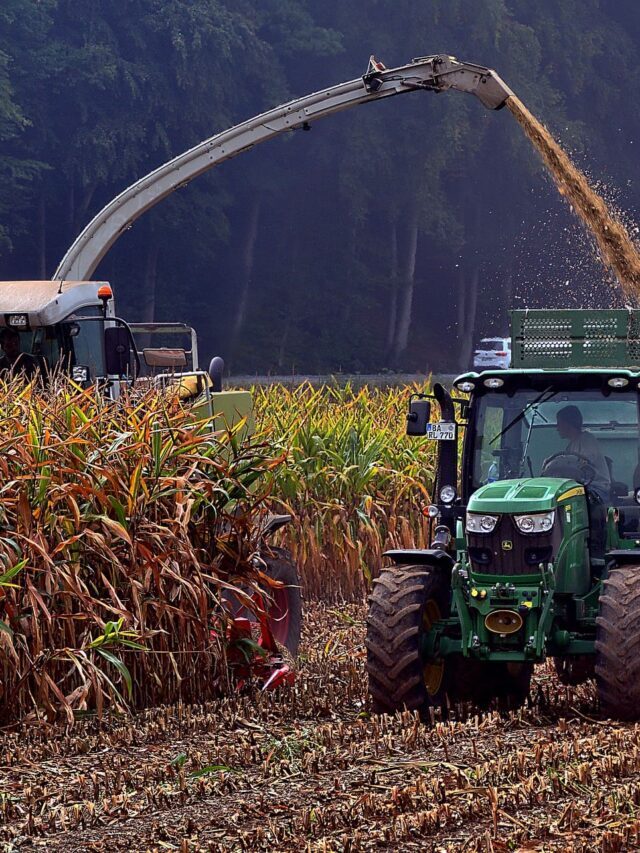 Pós-Graduação em Produção de Grãos – Aumente a lucratividade de suas lavouras
