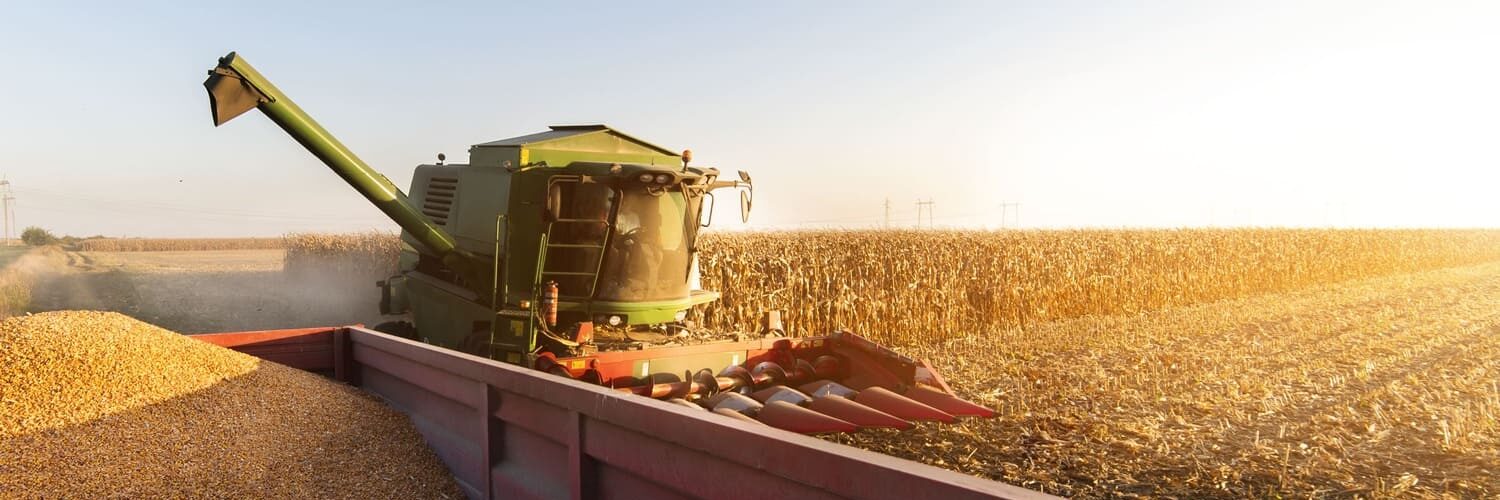 Colheita mecanizada